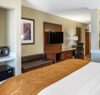 Comfort Suites Midland, suite king