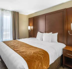 Comfort Suites Midland, suite king