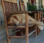 © Dixie Dude Ranch, un hôte attentif