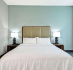 Homewood Suites by Hilton Galveston, king suite