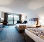 Chambre 2 grands lits