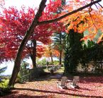 Manoir Hovey en automne