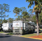 Encore Tropical Palms