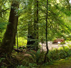 Aggrandir la photo 3