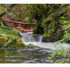 Aggrandir la photo 5