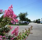 Bakersfield River Run RV Park