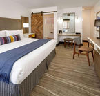 Room with one King bed