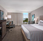 Room with one King bed