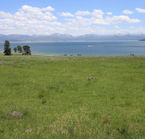 Yellowstone Lake