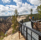 Grand Canyon of Yellowstone