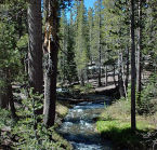 Coldwater campground