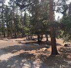 Glacier Basin Campground