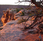 Dead Horse Point State Park