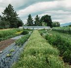 Harvest Hosts - Missoula