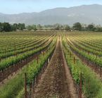 Yosemite Winery - Harvest Hosts