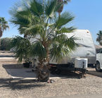 Aggrandir la photo 6