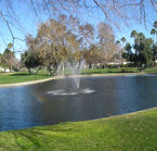 Palm Springs Oasis RV Resort