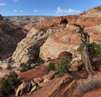 Capitol Reef National Park