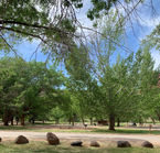 Fruita Campground