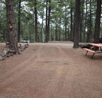 Aggrandir la photo 5