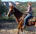 Activité au Zion Ponderosa Resort