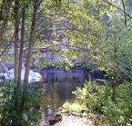 Camping Yosemite Lakes