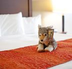 Gray Wolf Inn and Suites