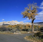 Green River Campground