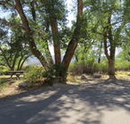 Green River Campground