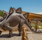Dinosaur National Monument