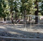 Mammoth RV Park - Terrain de jeux