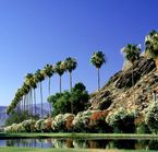 Palm Springs
