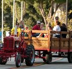 San Diego KOA - Activités sur le site