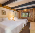 Aggrandir la photo 3