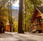 Aggrandir la photo 6