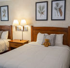 Aggrandir la photo 2