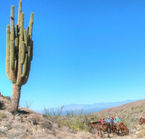 Stagecoach Trails Guest Ranch