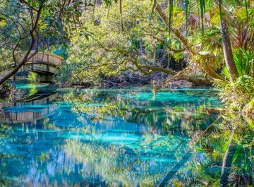 5 Florida treasures waiting to be discovered
