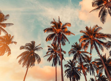 California trip: where to go