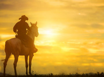 L'ultime road trip au Texas