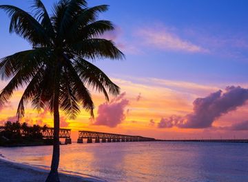 L’ultime road trip en Floride