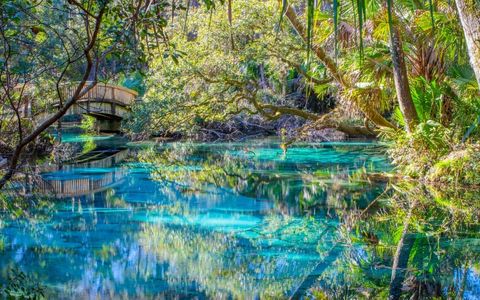 5 Florida treasures waiting to be discovered