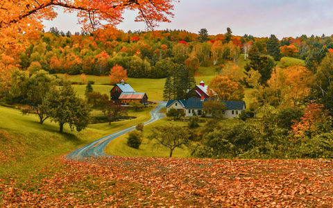 Où partir en automne aux États-Unis ? Notre guide pratique