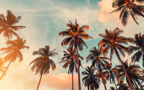 California trip: where to go