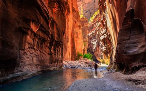 The Narrows hike in Zion Park from A to Z