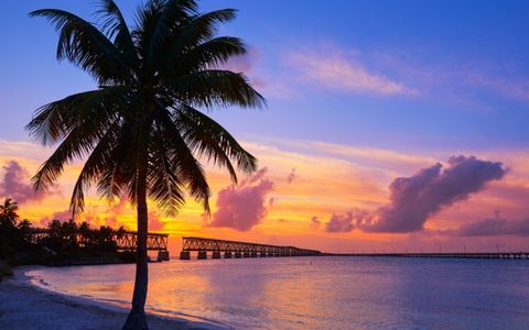 L’ultime road trip en Floride