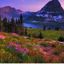Glacier National Park: les 5 incontournables à ne pas manquer
