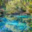 5 Florida treasures waiting to be discovered