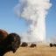 Parc Yellowstone : 5 incontournables à ne pas manquer [carte + photos]
