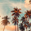 California trip: where to go